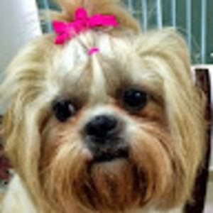 Meet your Posher, Reyna isabel